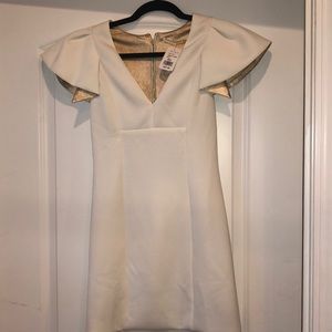 Birthday Shenanigans